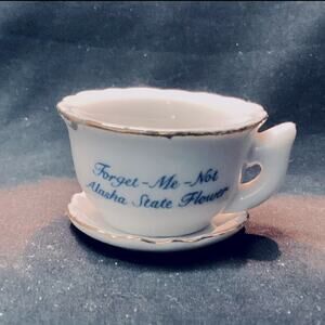 Miniature Alaskan Souvenir, Teacup and Saucer set